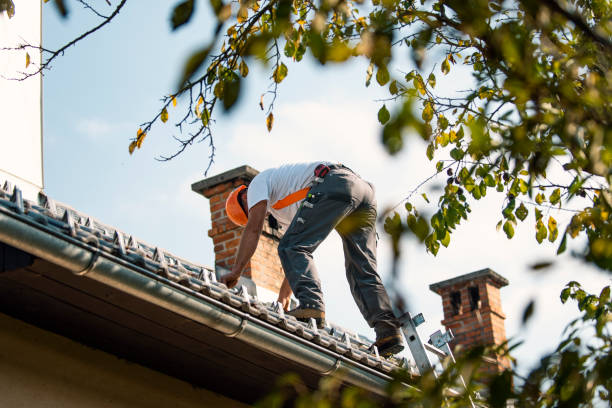 Roof Gutter Cleaning in Blackwells Mills, NJ
